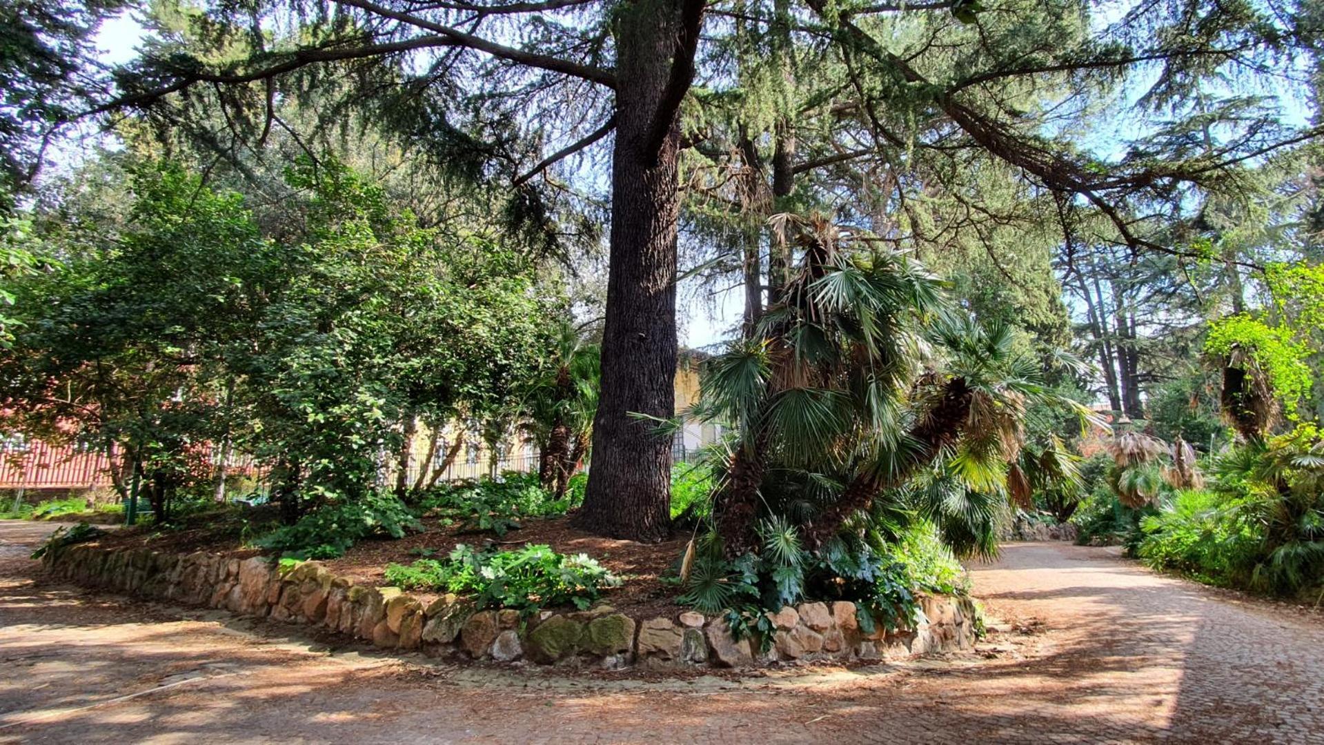 شقة Mamomi House روما المظهر الخارجي الصورة